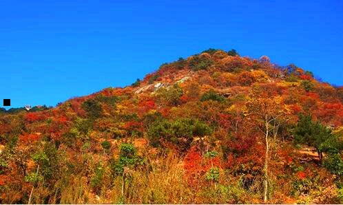 二农村在家无聊怎样能挣钱