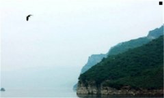 淘宝运费模板怎么设置-淘宝运费模板怎么填
