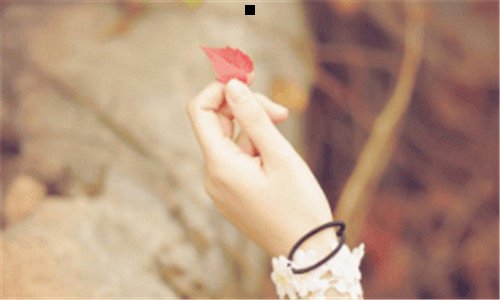 二腈纶是什么面料图片