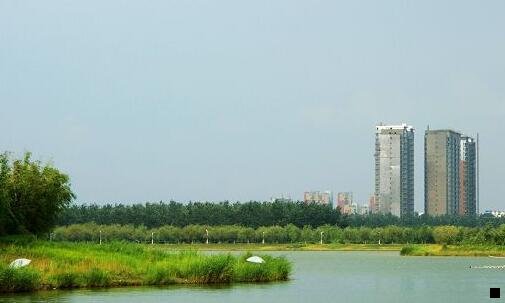 三广东科技学院教师集体辞职