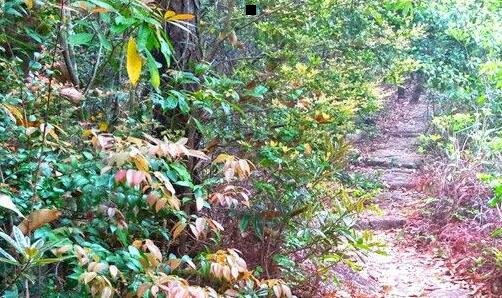一江西科技师范学院