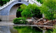 苹果itunes怎么用-苹果itunes怎么使用教程