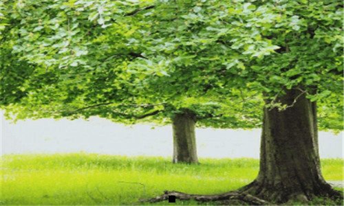 二别人收支付宝小号干嘛