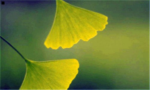 二梦幻西游手游大唐平民加点