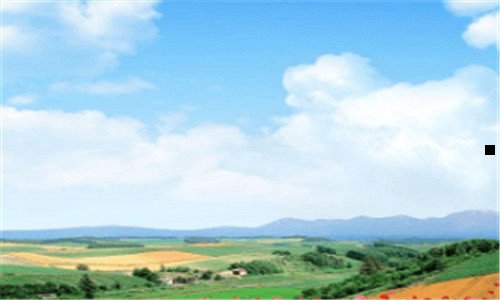 一上海好玩的公园