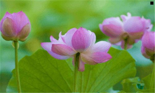 三冠捷易美逊显示器