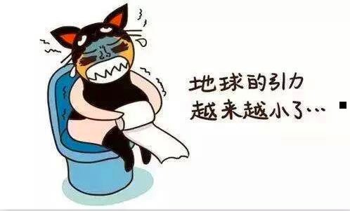 一韩国崔真实