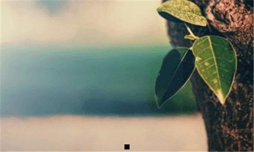 二3t硬盘怎么用win10分区