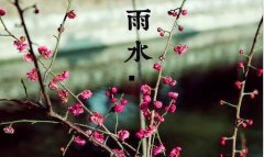 瓦斯琪-瓦斯琪女士原画