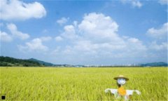 苏州科技学院学报-省级容易发表的期刊