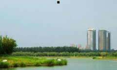 东风日产新轩逸-新轩逸颜色排名