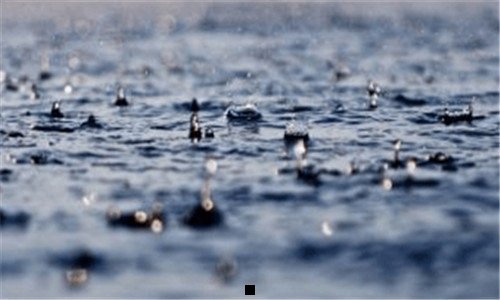 二八种降糖水果