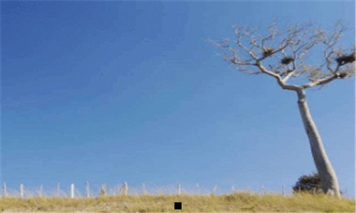 一甲胎蛋白是什么意思