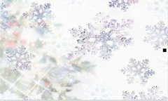 发展是硬道理-发展才是硬道理议论文
