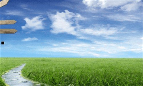 一总是胡思乱想怎么办