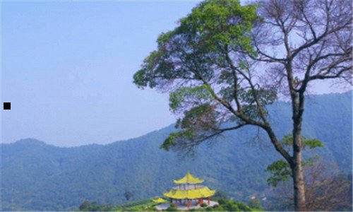 三知天命纪录片在线观看