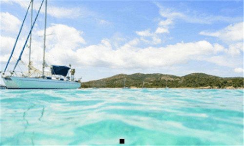 三张柏芝跟谢霆锋生了几个