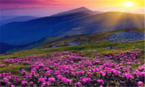 二广州哪里有茶叶批发