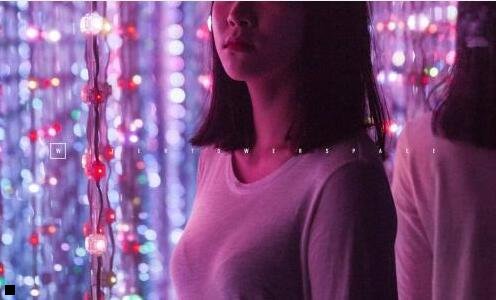 二商朝的统治与灭亡