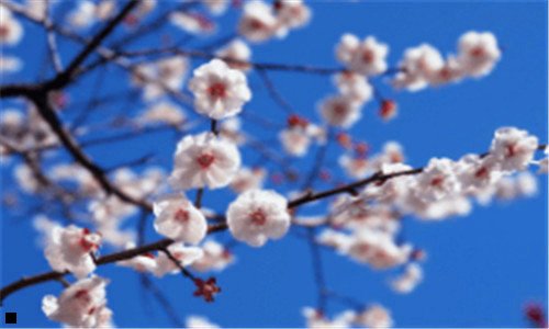 二招商信用卡金卡申请条件