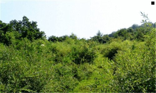 二三菱空调质量如何