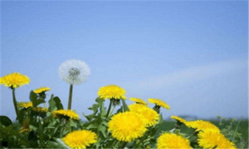二新奥动力科技有限公司