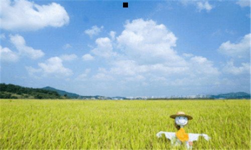 三沈阳达内毕业后真实情况