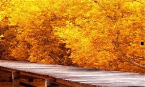 一江西旅游攻略