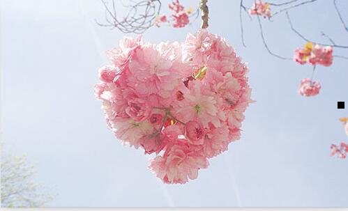 一好基友什么意思