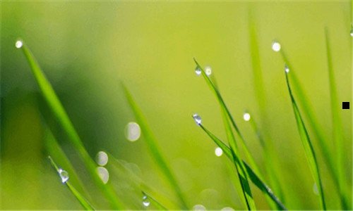 三郑州云网智能科技有限公司