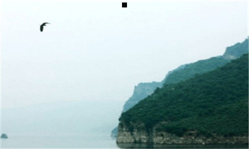 三怎么去除痘痘的方法