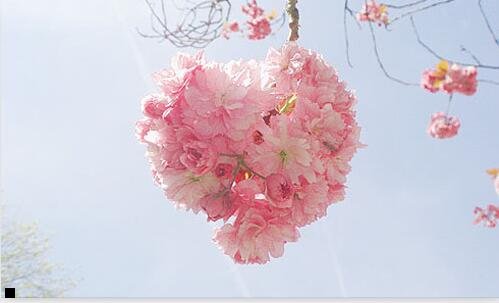 一飞数科技