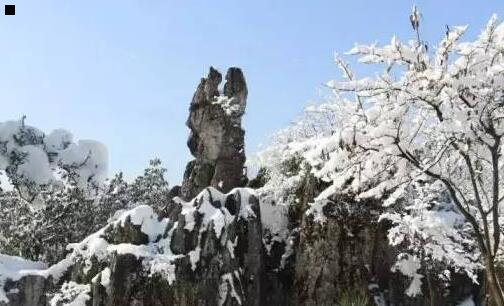 三随身带着三亩田