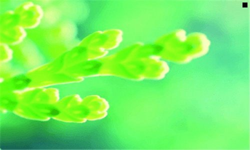 三16个赞是什么意思
