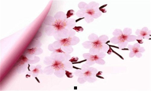 三电子科技大学有单招吗
