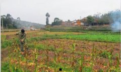 油烫伤后怎么处理-油烫伤可以用牙膏吗