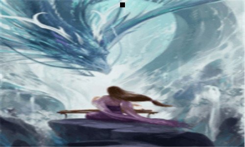 二鱼肚和鱼泡的区别图