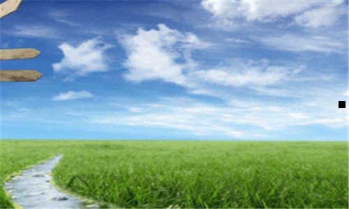 二腹部减肥最快的方法运动