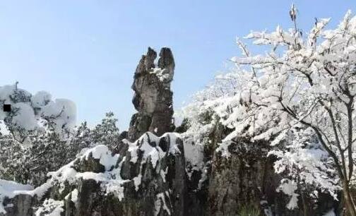 二高考分数线预测大学
