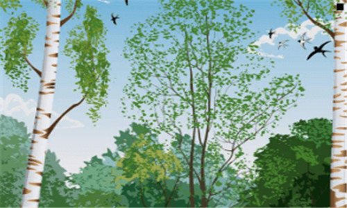 三微信公众平台登录入口