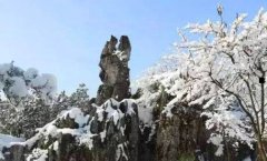 预防近视的方法-预防近视征文500字
