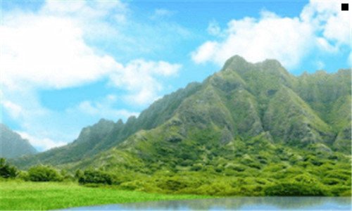 二旗舰机是啥意思
