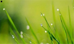 上海皮肤科医院官网-上海皮肤科医院网上挂号