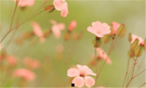二中年大圆脸适合什么发型