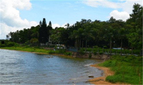 三美国埃默里大学法学院