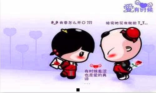 一泰迪狗