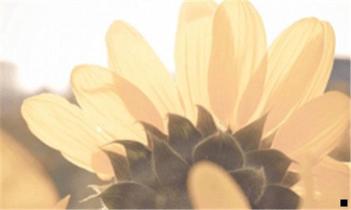 二游戏优化大师手机版