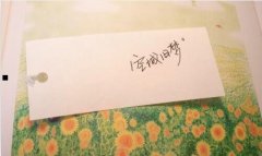 网站忧化-百度秒收录蜘蛛池