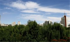 不上班的23种活法-适合带娃妈妈干的生意