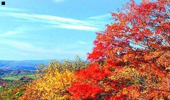 电子邮件的格式-电子邮件格式范文